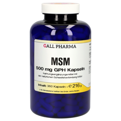 MSM 500 mg GPH Kapseln