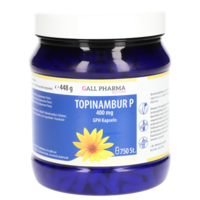 TOPINAMBUR P 400 mg GPH Kapseln