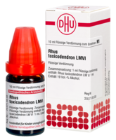 RHUS TOXICODENDRON LM VI Dilution