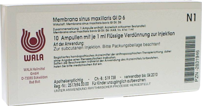 MEMBRANA sinus maxillaris GL D 6 Ampullen