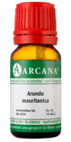 ARUNDO mauritanica LM 12 Dilution