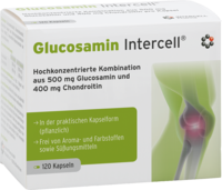 GLUCOSAMIN INTERCELL Kapseln