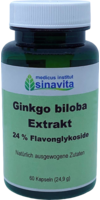 GINKGO BILOBA EXTRAKT 24% Flavonglykoside Kapseln