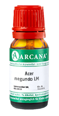 ACER negundo LM 11 Dilution