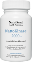 NATTOKINASE 2000 Kapseln