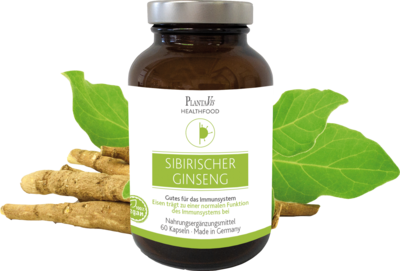 SIBIRISCHER Ginseng hochdosiert vegan Kapseln